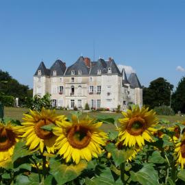 Château de Piolant, hotel en Dangé