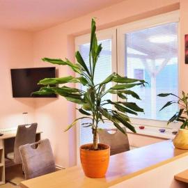NIKA beds, hotel em Pardubice