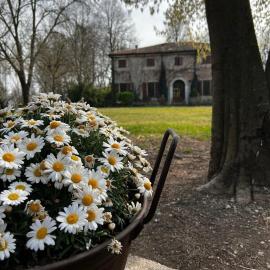 Agriturismo Corte San Girolamo, hotel a Mantova