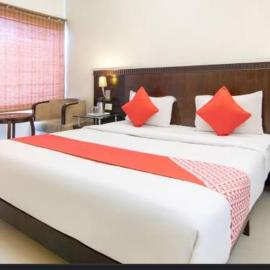 Hotel Amshi International