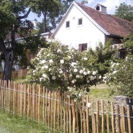 Útulný domek s malou zahrádkou, hotell sihtkohas Dačice