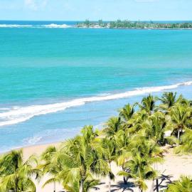 Beach Rental LUX Apt 3BR-2BTH+Sofabed+City & Ocean View