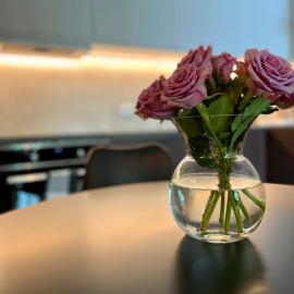 Grytebust Apartment, hotel in Nørvesund