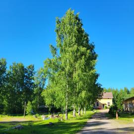 Old village school, hotel Kolkontaipale városában