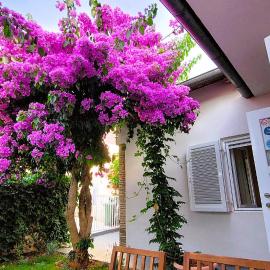 Holiday home Zora - family vacation house near protected area of the Nature Park Kamenjak, with green yard, WiFi, Air-con, hotel in Premantura