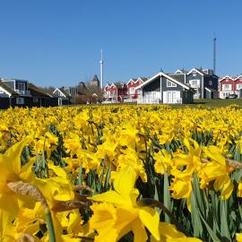 Iris Strandhus, hotell sihtkohas Sierksdorf