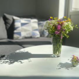 Åreskutans lägenhet med laddning för bil 22kW, hotel in Huså