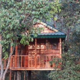 Odyssey Stays Mukteshwar - 300 Metres Trek
