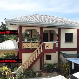 Peace Lily Studio Apartments Panglao
