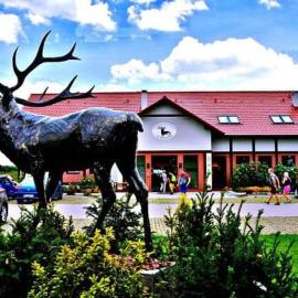 Pensjonat i Restauracja Hubertówka, hotel a Milicz