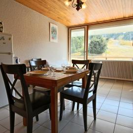 Appartement 2 pièces avec balcon et animaux acceptés au pied des pistes - FR-1-549-69