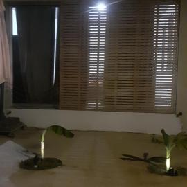 ARIADNIS 3 BEDs apt: Pomos şehrinde bir otel