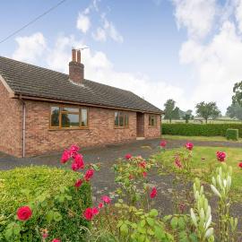 Meadow Lea