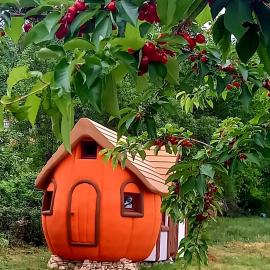 Krka Magic Pumpkin, hotel di Rupe