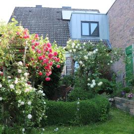 Im Schnuckenbau, Ferienhaus, hotel i Schneverdingen