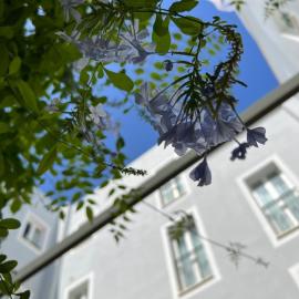 Hotel San Miguel Menorca、マオーのホテル