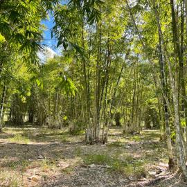 Gundiah में, होटल GSM Bamboo Farm RV and Caravan site