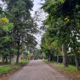 El Rancho de Juanchi