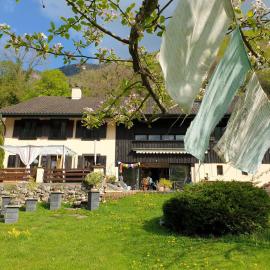 Agréable chambre d'hôtes, au calme, dans la nature, hotel sa Roches