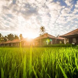 Sri Lestari Banyuatis, hotel in Munduk
