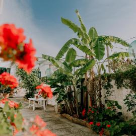 Masseria Agriturismo Il Sorriso Degli Ulivi - Dimora di Charme, khách sạn ở Gallipoli