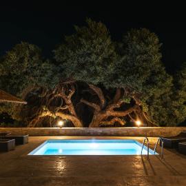 Kedros Katikies, viešbutis mieste Kalamakis