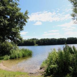 zentrumsnahes Wohnen in der Alten Schule am See, hotell i Schwerin