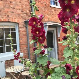 Clerks Cottage, hotel in Upton upon Severn