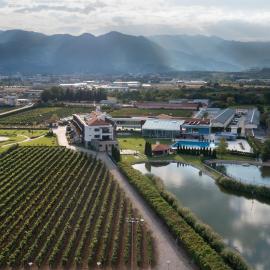 Uva Nestum Wine & SPA – hotel w mieście Goce Dełczew