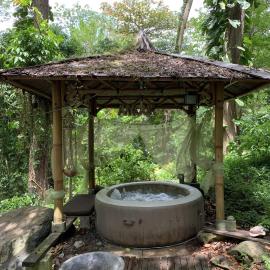 mon Ecolodge Creole, Hotel in Fort-de-France