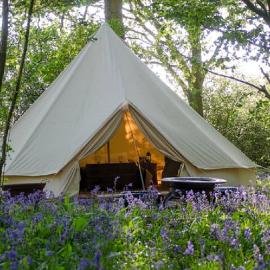 Oak Tree Farm, hotell sihtkohas Llanfynydd
