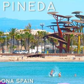 La Pineda playa
