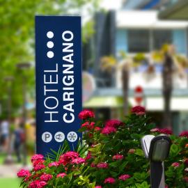 Hotel Carignano