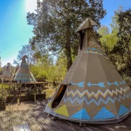 The Magical Teepee Experience, hotel di Hogsback