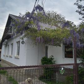 CASA MEA-Casa Mocanu, hotel i Giurgiu