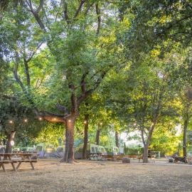 다프나에 위치한 호텔 Camping Dafna - By Travel Hotel Chain