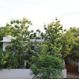 "Priyadarshi Villa" Free pickup in ac car from Jasidih Railway station or Deoghar Airport, hotel sa Deoghar