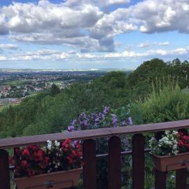 The View