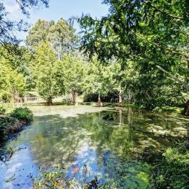 Peaceful cottage in beautiful landscaped native bush gully – hotel w mieście Tamahere