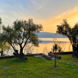 Traditional Architecture Seafront Stone House in 25000sqm Olive Grove - C, hotel em Alyfantá