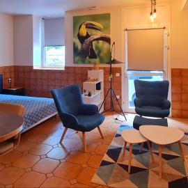 Mazamet : Résidence du Musée centre ville., hôtel à Mazamet