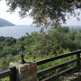 Alex Seaview House