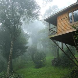 Nature Zone Munnar - A Real Jungle Resort - Authentic Tree House and Premium Tents, hotell sihtkohas Munnar
