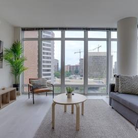 Wonderful 2BR Apartment at Crystal City, hotel a Arlington