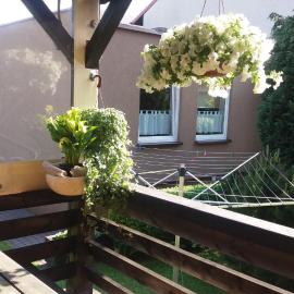 Viesnīca Domek POD CISEM pilsētā Pucka