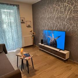 Apartmán U Pelikána, hotel in Olomouc