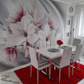 Apartmany Diana