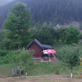 Tiny house Casa Axa, khách sạn ở Pîrîu Cîrjei
