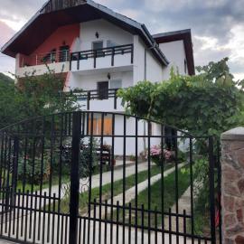 Casa Lica, Hotel in Căciulata
