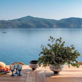Villa myporos